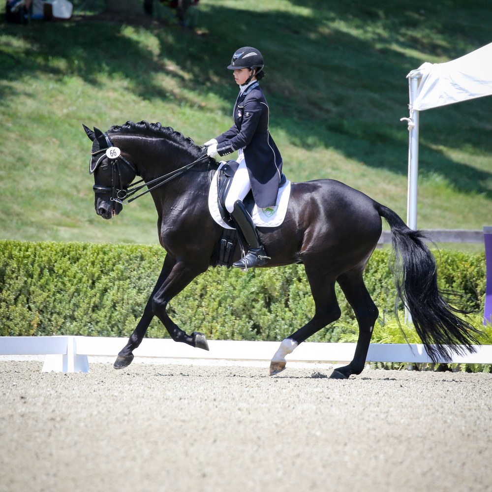 Solière, a black Hanoverian stallion, in extended trot during a dressage test