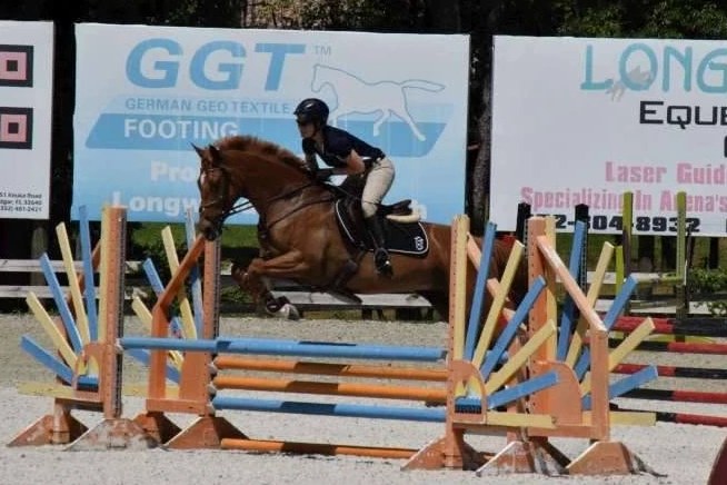 Willa T, a chestnut mare, jumping a coloured fence in competition